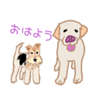 ラブラドールぷーちゃんとワイヤーピッチ君（個別スタンプ：1）