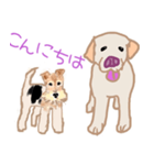 ラブラドールぷーちゃんとワイヤーピッチ君（個別スタンプ：2）