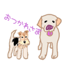 ラブラドールぷーちゃんとワイヤーピッチ君（個別スタンプ：4）