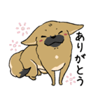 雑種犬のクロハナ ver.バレンタイン（個別スタンプ：3）