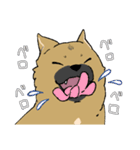 雑種犬のクロハナ ver.バレンタイン（個別スタンプ：20）