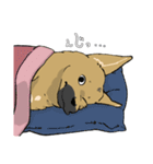 雑種犬のクロハナ ver.バレンタイン（個別スタンプ：24）