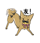 雑種犬のクロハナ ver.バレンタイン（個別スタンプ：25）