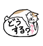 まったりごろごろ日本猫5・文字大きめ♪（個別スタンプ：10）