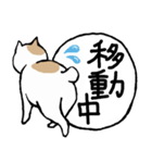 まったりごろごろ日本猫5・文字大きめ♪（個別スタンプ：31）