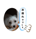 マルチー’s（個別スタンプ：14）