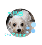マルチー’s（個別スタンプ：22）
