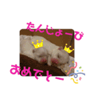 マルチー’s（個別スタンプ：30）