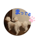 マルチー’s（個別スタンプ：32）