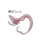 どくぜつ深海生物（個別スタンプ：33）