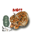 関西弁な爬虫類さん（個別スタンプ：18）