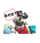シュナの海くん（個別スタンプ：8）