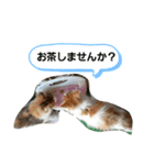 でぃっこともっくんの日常（個別スタンプ：2）