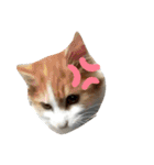 でぃっこともっくんの日常（個別スタンプ：9）