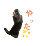 でぃっこともっくんの日常（個別スタンプ：16）