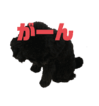 ぷーどる くろ（個別スタンプ：7）