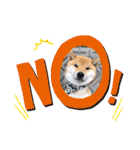 柴犬てっちゃんのスタンプ（個別スタンプ：14）