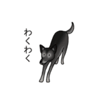 愉快な馬たちと犬（個別スタンプ：7）