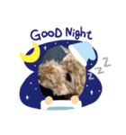toy poodle’s Stamp world（個別スタンプ：1）