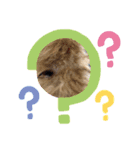 toy poodle’s Stamp world（個別スタンプ：6）
