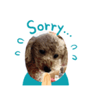 toy poodle’s Stamp world（個別スタンプ：9）