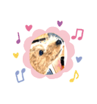 toy poodle’s Stamp world（個別スタンプ：12）