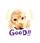 toy poodle’s Stamp world（個別スタンプ：14）