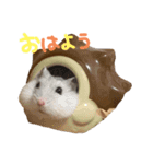 はむはむず III（個別スタンプ：1）