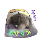 はむはむず III（個別スタンプ：2）