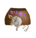 はむはむず III（個別スタンプ：8）