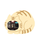 日常会話に使えるスタンプ(その1)（個別スタンプ：18）
