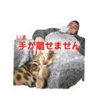 ベンガル フィーゴとアンドリュー2（個別スタンプ：36）