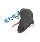 ファンシーラットNo1（個別スタンプ：9）
