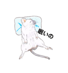 ファンシーラットNo1（個別スタンプ：32）