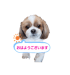 ガクタンプ2（個別スタンプ：2）