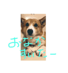ロッキー❤︎❤︎❤︎（個別スタンプ：6）