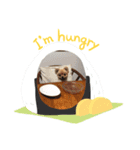 癒しのコロン（個別スタンプ：4）