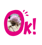 癒しのコロン（個別スタンプ：6）