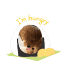 看板犬クッキー2（個別スタンプ：3）