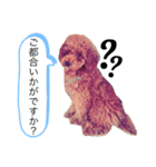 WON WON collection 2（個別スタンプ：4）
