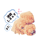 WON WON collection 2（個別スタンプ：5）