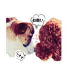 WON WON collection 2（個別スタンプ：6）