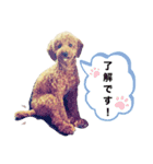 WON WON collection 2（個別スタンプ：7）