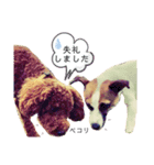 WON WON collection 2（個別スタンプ：9）
