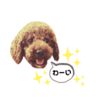 WON WON collection 2（個別スタンプ：16）