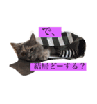 ゆるねこちゃん2020（個別スタンプ：6）