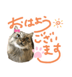 ドッグハウスR（個別スタンプ：1）