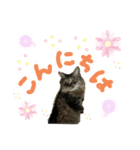 ドッグハウスR（個別スタンプ：3）