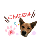 ドッグハウスR（個別スタンプ：4）