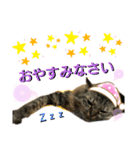 ドッグハウスR（個別スタンプ：5）